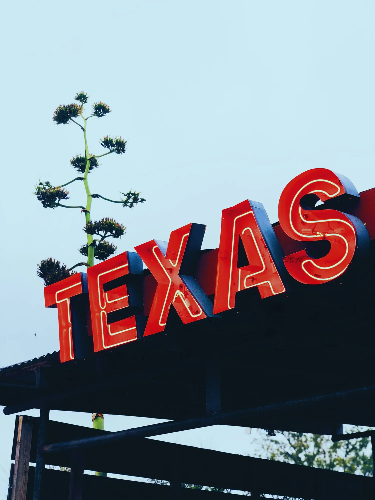 Texas home exterior representing HELOC opportunity for homeowners